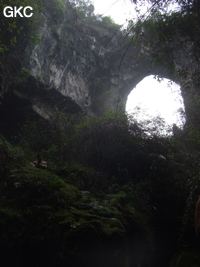 Le pont naturel de l'arche du dragon au pied de laquelle s'ouvre Longqiaogedong 龙桥阁洞 (Grotte de la pagode de l'arche du dragon) 龙桥阁洞 une entrée du réseau de Longnudong 龙女洞. (Shipin, Zheng'an 正安, Zunyi Shi 遵义市, Guizhou 贵州省, Chine 中国)