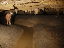 Grotte de Laoxiaodong 老硝洞 - réseau de Shuanghedongqun 双河洞 - (Suiyang 绥阳,  Zunyi Shi 遵义市, Guizhou 贵州省)