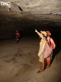 Grotte de Laoxiaodong 老硝洞 - réseau de Shuanghedongqun 双河洞 - (Suiyang 绥阳,  Zunyi Shi 遵义市, Guizhou 贵州省)