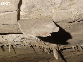 Grotte de Laoxiaodong 老硝洞 - réseau de Shuanghedongqun 双河洞 - (Suiyang 绥阳,  Zunyi Shi 遵义市, Guizhou 贵州省)