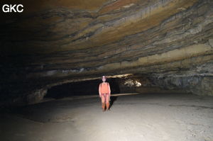 Grotte de Laoxiaodong 老硝洞 - réseau de Shuanghedongqun 双河洞 - (Suiyang 绥阳,  Zunyi Shi 遵义市, Guizhou 贵州省)