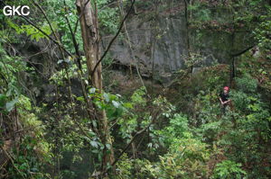 Le puits d'entrée de 175 m de la grotte de Yanwangdong (Grotte du roi des fantômes) 阎王洞 s’ouvre au fond d’une doline boisée (Guizhou 贵州省, Qiannan 黔南, Pingtang 平塘).