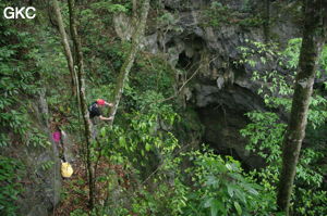 Le puits d'entrée de 175 m de la grotte de Yanwangdong (Grotte du roi des fantômes) 阎王洞 s’ouvre au fond d’une doline boisée (Guizhou 贵州省, Qiannan 黔南, Pingtang 平塘).