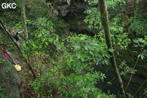 Le puits d'entrée de 175 m de la grotte de Yanwangdong (Grotte du roi des fantômes) 阎王洞 s’ouvre au fond d’une doline boisée (Guizhou 贵州省, Qiannan 黔南, Pingtang 平塘).
