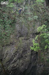 Le puits d'entrée de 175 m de la grotte de Yanwangdong (Grotte du roi des fantômes) 阎王洞 (Guizhou 贵州省, Qiannan 黔南, Pingtang 平塘).