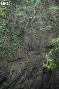 Le puits d'entrée de 175 m de la grotte de Yanwangdong (Grotte du roi des fantômes) 阎王洞 (Guizhou 贵州省, Qiannan 黔南, Pingtang 平塘).