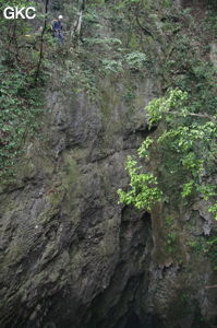 Le puits d'entrée de 175 m de la grotte de Yanwangdong (Grotte du roi des fantômes) 阎王洞 (Guizhou 贵州省, Qiannan 黔南, Pingtang 平塘).