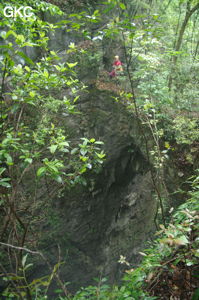 Pont rocheux en haut du puits d'entrée de 175 m de la grotte de Yanwangdong (Grotte du roi des fantômes) 阎王洞 (Guizhou 贵州省, Qiannan 黔南, Pingtang 平塘).