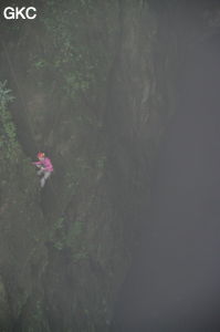 Le puits d'entrée de 175 m de la grotte de Yanwangdong (Grotte du roi des fantômes) 阎王洞 (Guizhou 贵州省, Qiannan 黔南, Pingtang 平塘).