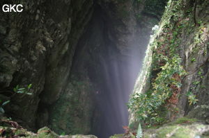 Rayons de soleil dans le puits d'entrée de 175 m de la grotte de Yanwangdong (Grotte du roi des fantômes) 阎王洞 (Guizhou 贵州省, Qiannan 黔南, Pingtang 平塘).