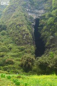 Yinhedong
