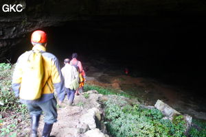 Grotte de Shanwangdong 山王洞 - réseau de Shuanghedongqun 双河洞 - (Suiyang 绥阳, Zunyi Shi 遵义市, Guizhou 贵州省, Chine 中国)