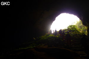 Grotte de Shanwangdong 山王洞 - réseau de Shuanghedongqun 双河洞 - (Suiyang 绥阳, Zunyi Shi 遵义市, Guizhou 贵州省, Chine 中国)