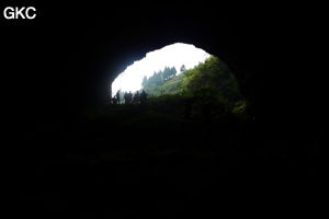 Grotte de Shanwangdong 山王洞 - réseau de Shuanghedongqun 双河洞 - (Suiyang 绥阳, Zunyi Shi 遵义市, Guizhou 贵州省, Chine 中国)