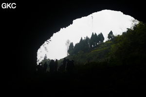 Grotte de Shanwangdong 山王洞 - réseau de Shuanghedongqun 双河洞 - (Suiyang 绥阳, Zunyi Shi 遵义市, Guizhou 贵州省, Chine 中国)