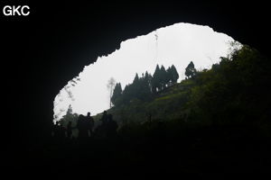 Grotte de Shanwangdong 山王洞 - réseau de Shuanghedongqun 双河洞 - (Suiyang 绥阳, Zunyi Shi 遵义市, Guizhou 贵州省, Chine 中国)