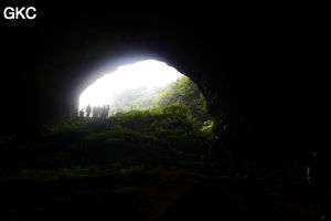 Grotte de Shanwangdong 山王洞 - réseau de Shuanghedongqun 双河洞 - (Suiyang 绥阳, Zunyi Shi 遵义市, Guizhou 贵州省, Chine 中国)