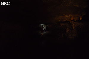 Grotte de Shanwangdong 山王洞 - réseau de Shuanghedongqun 双河洞 - (Suiyang 绥阳, Zunyi Shi 遵义市, Guizhou 贵州省, Chine 中国)