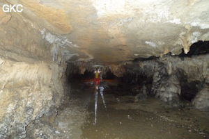 Grotte de Shanwangdong 山王洞 - réseau de Shuanghedongqun 双河洞 - (Suiyang 绥阳, Zunyi Shi 遵义市, Guizhou 贵州省, Chine 中国)