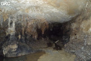 Grotte de Shanwangdong 山王洞 - réseau de Shuanghedongqun 双河洞 - (Suiyang 绥阳, Zunyi Shi 遵义市, Guizhou 贵州省, Chine 中国)