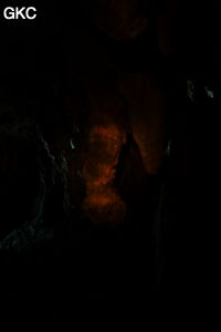 Grotte de Shanwangdong 山王洞 - réseau de Shuanghedongqun 双河洞 - (Suiyang 绥阳, Zunyi Shi 遵义市, Guizhou 贵州省, Chine 中国)