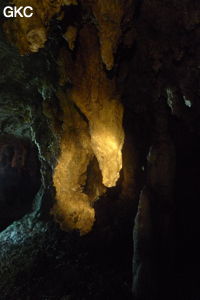 Grotte de Shanwangdong 山王洞 - réseau de Shuanghedongqun 双河洞 - (Suiyang 绥阳, Zunyi Shi 遵义市, Guizhou 贵州省, Chine 中国)