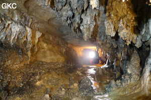 Grotte de Shanwangdong 山王洞 - réseau de Shuanghedongqun 双河洞 - (Suiyang 绥阳, Zunyi Shi 遵义市, Guizhou 贵州省, Chine 中国)