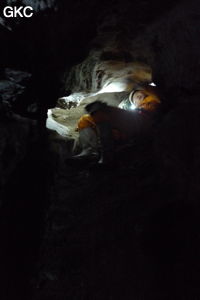 Grotte de Shanwangdong 山王洞 - réseau de Shuanghedongqun 双河洞 - (Suiyang 绥阳, Zunyi Shi 遵义市, Guizhou 贵州省, Chine 中国)