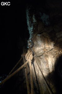 Grotte de Shanwangdong 山王洞 - réseau de Shuanghedongqun 双河洞 - (Suiyang 绥阳, Zunyi Shi 遵义市, Guizhou 贵州省, Chine 中国)