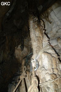Grotte de Shanwangdong 山王洞 - réseau de Shuanghedongqun 双河洞 - (Suiyang 绥阳, Zunyi Shi 遵义市, Guizhou 贵州省, Chine 中国)