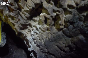 Grotte de Shanwangdong 山王洞 - réseau de Shuanghedongqun 双河洞 - (Suiyang 绥阳, Zunyi Shi 遵义市, Guizhou 贵州省, Chine 中国)