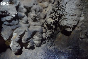 Grotte de Shanwangdong 山王洞 - réseau de Shuanghedongqun 双河洞 - (Suiyang 绥阳, Zunyi Shi 遵义市, Guizhou 贵州省, Chine 中国)