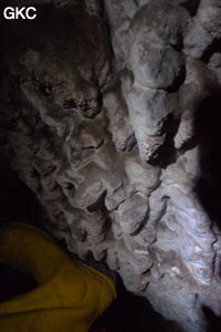 Grotte de Shanwangdong 山王洞 - réseau de Shuanghedongqun 双河洞 - (Suiyang 绥阳, Zunyi Shi 遵义市, Guizhou 贵州省, Chine 中国)