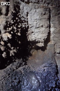 Grotte de Shanwangdong 山王洞 - réseau de Shuanghedongqun 双河洞 - (Suiyang 绥阳, Zunyi Shi 遵义市, Guizhou 贵州省, Chine 中国)