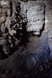 Grotte de Shanwangdong 山王洞 - réseau de Shuanghedongqun 双河洞 - (Suiyang 绥阳, Zunyi Shi 遵义市, Guizhou 贵州省, Chine 中国)