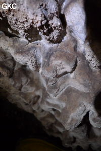 Grotte de Shanwangdong 山王洞 - réseau de Shuanghedongqun 双河洞 - (Suiyang 绥阳, Zunyi Shi 遵义市, Guizhou 贵州省, Chine 中国)