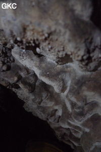 Grotte de Shanwangdong 山王洞 - réseau de Shuanghedongqun 双河洞 - (Suiyang 绥阳, Zunyi Shi 遵义市, Guizhou 贵州省, Chine 中国)