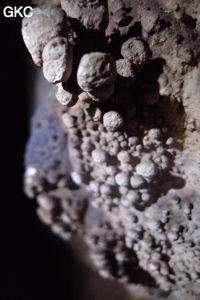 Grotte de Shanwangdong 山王洞 - réseau de Shuanghedongqun 双河洞 - (Suiyang 绥阳, Zunyi Shi 遵义市, Guizhou 贵州省, Chine 中国)