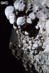 Grotte de Shanwangdong 山王洞 - réseau de Shuanghedongqun 双河洞 - (Suiyang 绥阳, Zunyi Shi 遵义市, Guizhou 贵州省, Chine 中国)