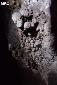 Grotte de Shanwangdong 山王洞 - réseau de Shuanghedongqun 双河洞 - (Suiyang 绥阳, Zunyi Shi 遵义市, Guizhou 贵州省, Chine 中国)