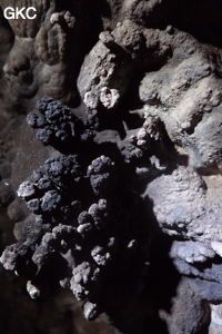 Grotte de Shanwangdong 山王洞 - réseau de Shuanghedongqun 双河洞 - (Suiyang 绥阳, Zunyi Shi 遵义市, Guizhou 贵州省, Chine 中国)