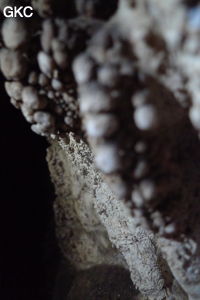 Grotte de Shanwangdong 山王洞 - réseau de Shuanghedongqun 双河洞 - (Suiyang 绥阳, Zunyi Shi 遵义市, Guizhou 贵州省, Chine 中国)