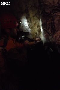 Grotte de Shanwangdong 山王洞 - réseau de Shuanghedongqun 双河洞 - (Suiyang 绥阳, Zunyi Shi 遵义市, Guizhou 贵州省, Chine 中国)