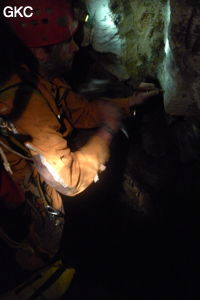 Grotte de Shanwangdong 山王洞 - réseau de Shuanghedongqun 双河洞 - (Suiyang 绥阳, Zunyi Shi 遵义市, Guizhou 贵州省, Chine 中国)