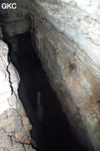 Grotte de Shanwangdong 山王洞 - réseau de Shuanghedongqun 双河洞 - (Suiyang 绥阳, Zunyi Shi 遵义市, Guizhou 贵州省, Chine 中国)