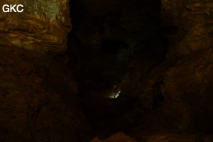 Grotte de Shanwangdong 山王洞 - réseau de Shuanghedongqun 双河洞 - (Suiyang 绥阳, Zunyi Shi 遵义市, Guizhou 贵州省, Chine 中国)