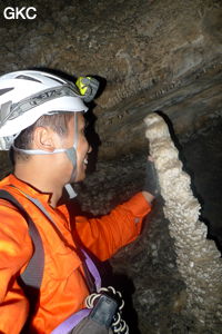 Grotte de Shanwangdong 山王洞 - réseau de Shuanghedongqun 双河洞 - (Suiyang 绥阳, Zunyi Shi 遵义市, Guizhou 贵州省, Chine 中国)