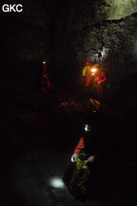 Grotte de Shanwangdong 山王洞 - réseau de Shuanghedongqun 双河洞 - (Suiyang 绥阳, Zunyi Shi 遵义市, Guizhou 贵州省, Chine 中国)