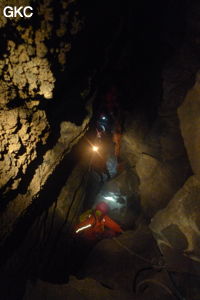 Grotte de Shanwangdong 山王洞 - réseau de Shuanghedongqun 双河洞 - (Suiyang 绥阳, Zunyi Shi 遵义市, Guizhou 贵州省, Chine 中国)