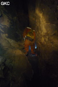 Grotte de Shanwangdong 山王洞 - réseau de Shuanghedongqun 双河洞 - (Suiyang 绥阳, Zunyi Shi 遵义市, Guizhou 贵州省, Chine 中国)